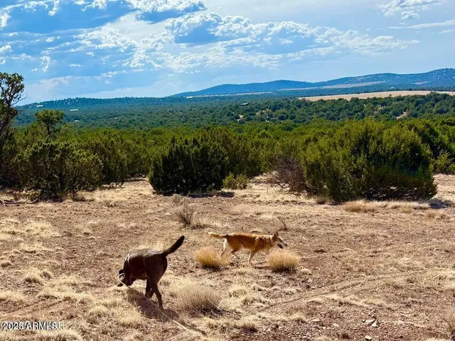 a view of an outdoor space