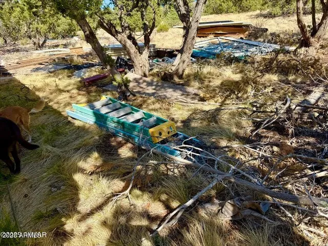 $69,000 | N3109 9.11 Acres Vernon Az 85940, Show Low, AZ 85901