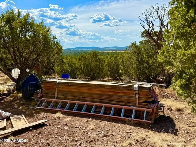 $69,000 | N3109 9.11 Acres Vernon Az 85940, Show Low, AZ 85901