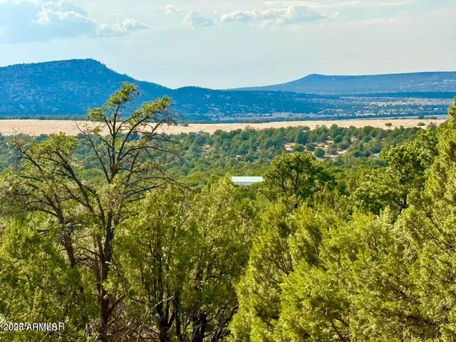 a view of outdoor space and mountain view