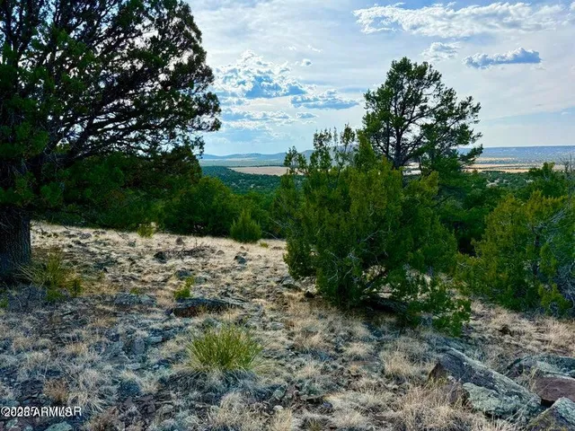 a backyard of a house with yard and outdoor seating