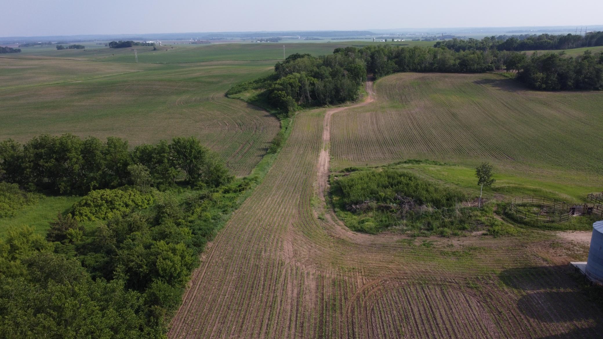 Tbd 250th Street East Hampton, MN 55031 - Photo 8 of 15