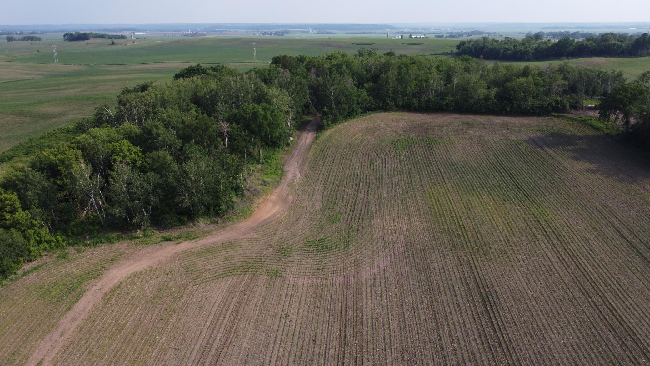 Tbd 250th Street East Hampton, MN 55031 - Photo 9 of 15