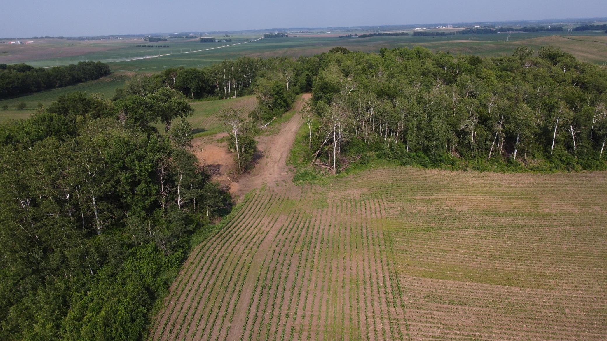 Tbd 250th Street East Hampton, MN 55031 - Photo 10 of 15