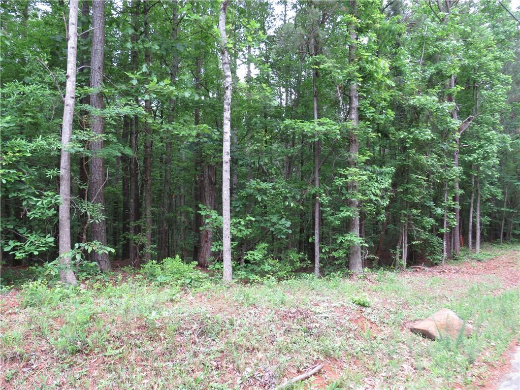 0 Doke Cohran Road Dallas, GA 30157 - Photo 1 of 11 a backyard of a house with lots of green space and garden