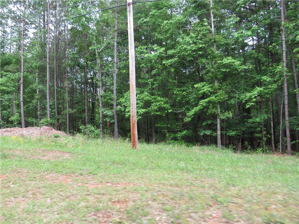 0 Doke Cohran Road Dallas, GA 30157 - Photo 11 of 11 a backyard of a house
