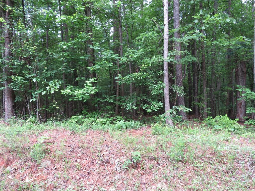 0 Doke Cohran Road Dallas, GA 30157 - Photo 2 of 11 a backyard of a house with lots of green space