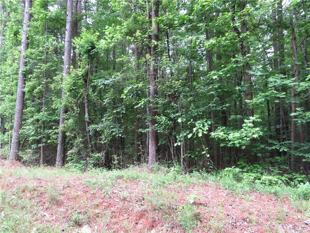 0 Doke Cohran Road Dallas, GA 30157 - Photo 3 of 11 a backyard of a house with lots of green space