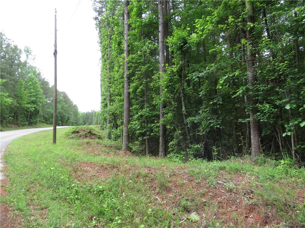 0 Doke Cohran Road Dallas, GA 30157 - Photo 4 of 11 a view of outdoor space with trees