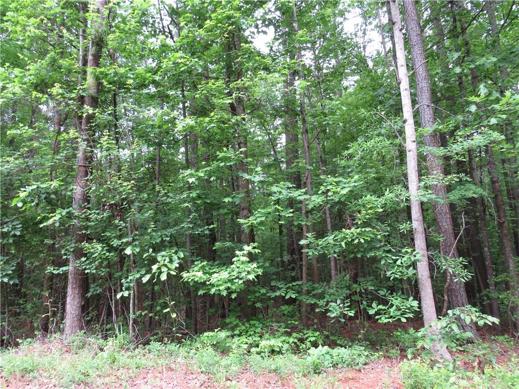 0 Doke Cohran Road Dallas, GA 30157 - Photo 5 of 11 a view of a garden