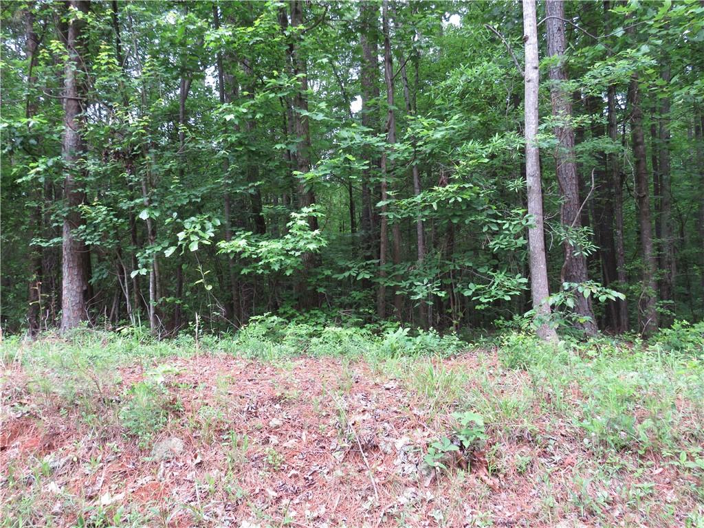 0 Doke Cohran Road Dallas, GA 30157 - Photo 6 of 11 a view of backyard with green space
