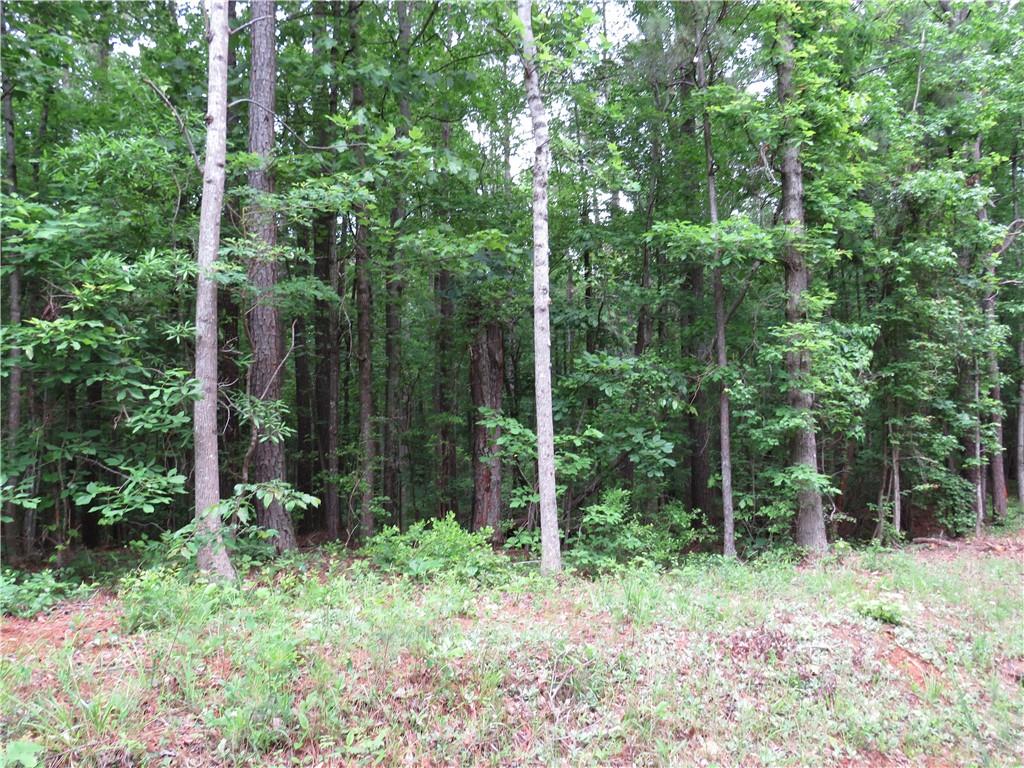 0 Doke Cohran Road Dallas, GA 30157 - Photo 7 of 11 a backyard of a house with lots of green space and garden