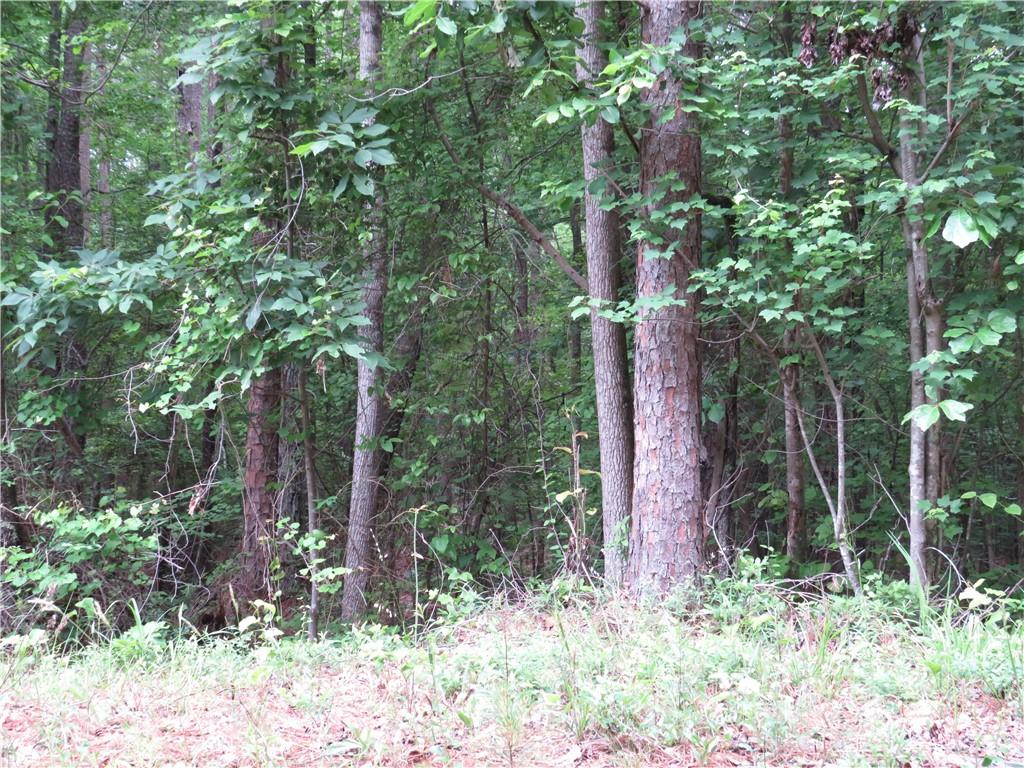 0 Doke Cohran Road Dallas, GA 30157 - Photo 8 of 11 a backyard of a house with lots of plants and large trees