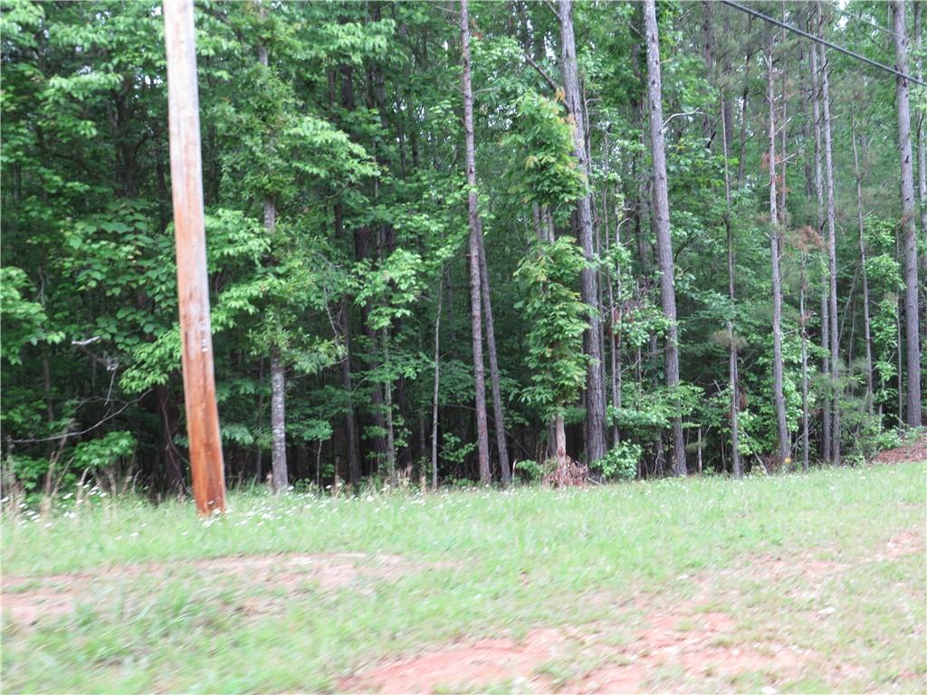 0 Doke Cohran Road Dallas, GA 30157 - Photo 10 of 11 a view of outdoor space with deck and yard