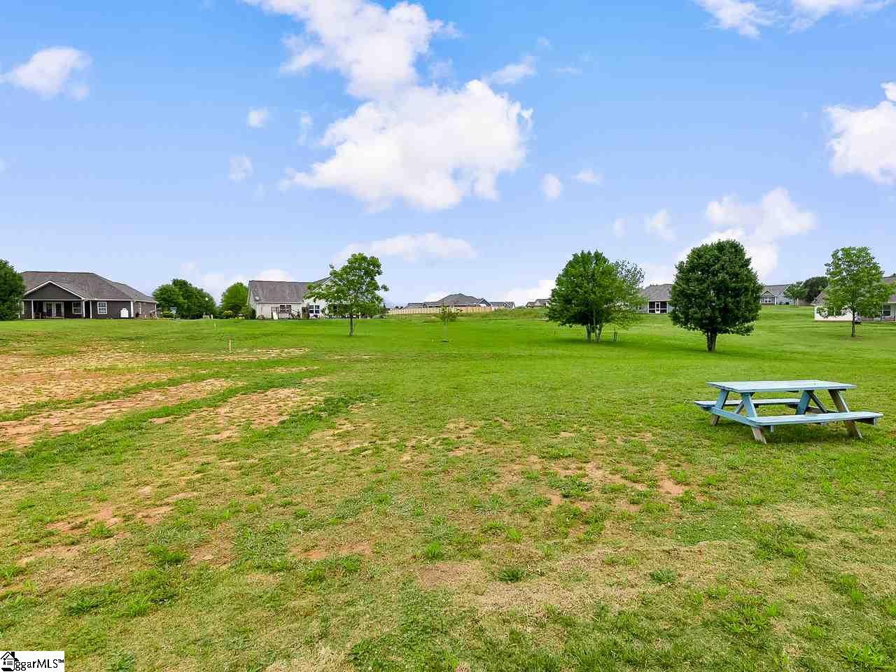 415 Braeburn Fields Inman, SC 29349 - Photo 30 of 36