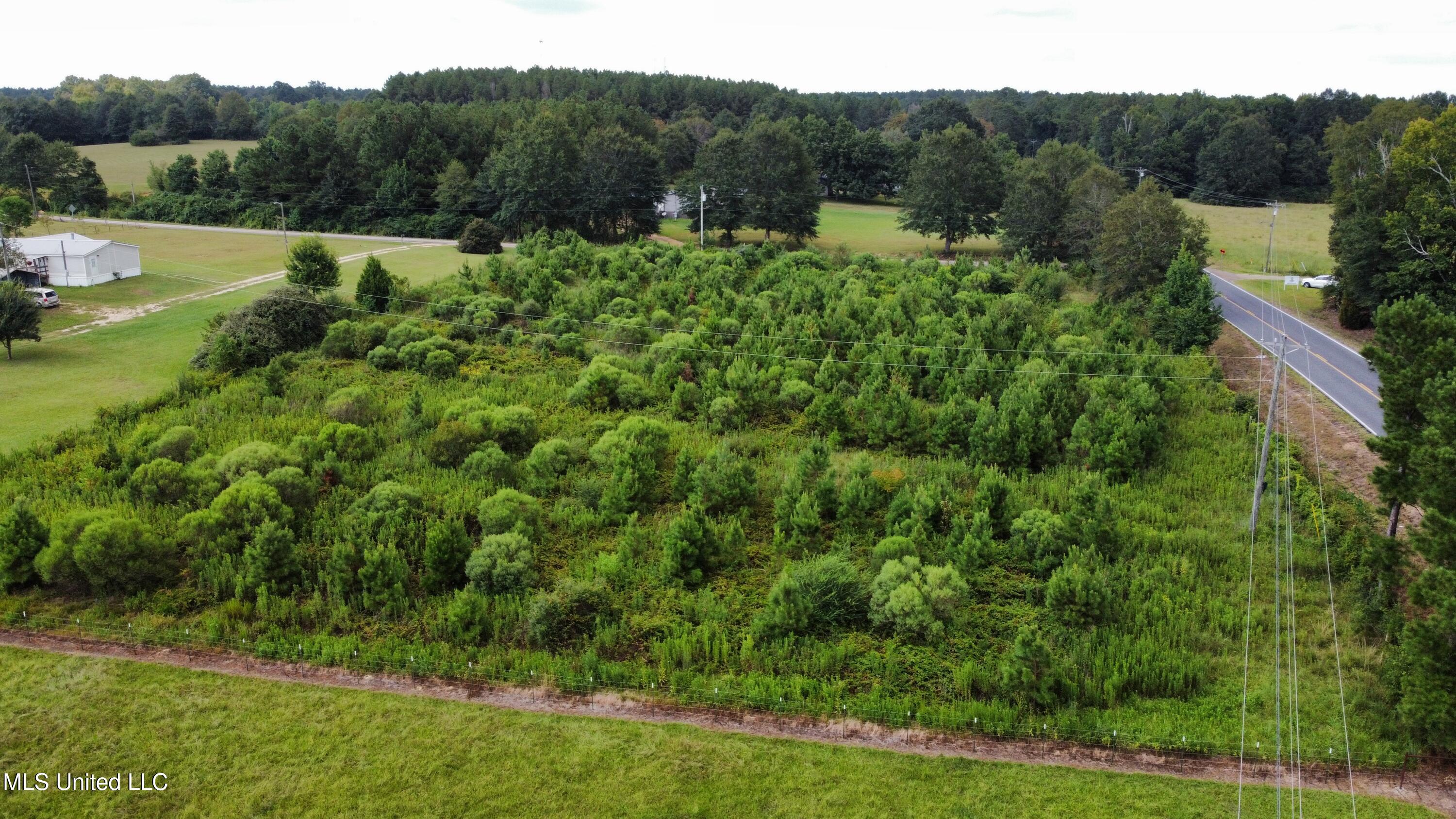0 Ms-27 Tylertown, MS 39667 - Photo 3 of 7 dji_fly_20250814_153054_96_1755207137493