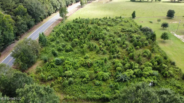 $43,000 | 0 Ms-27, Tylertown, MS 39667