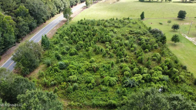 $43,000 | 0 Ms-27, Tylertown, MS 39667