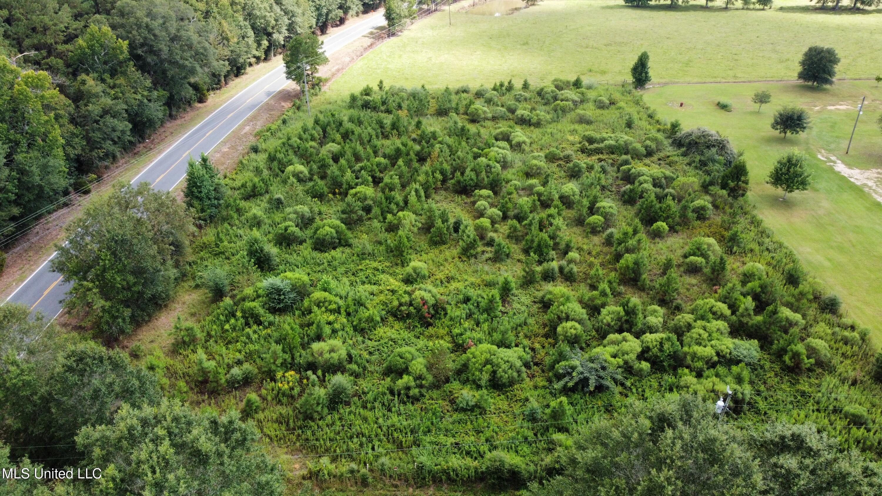 0 Ms-27 Tylertown, MS 39667 - Photo 4 of 7 dji_fly_20250814_152732_92_1755207254304