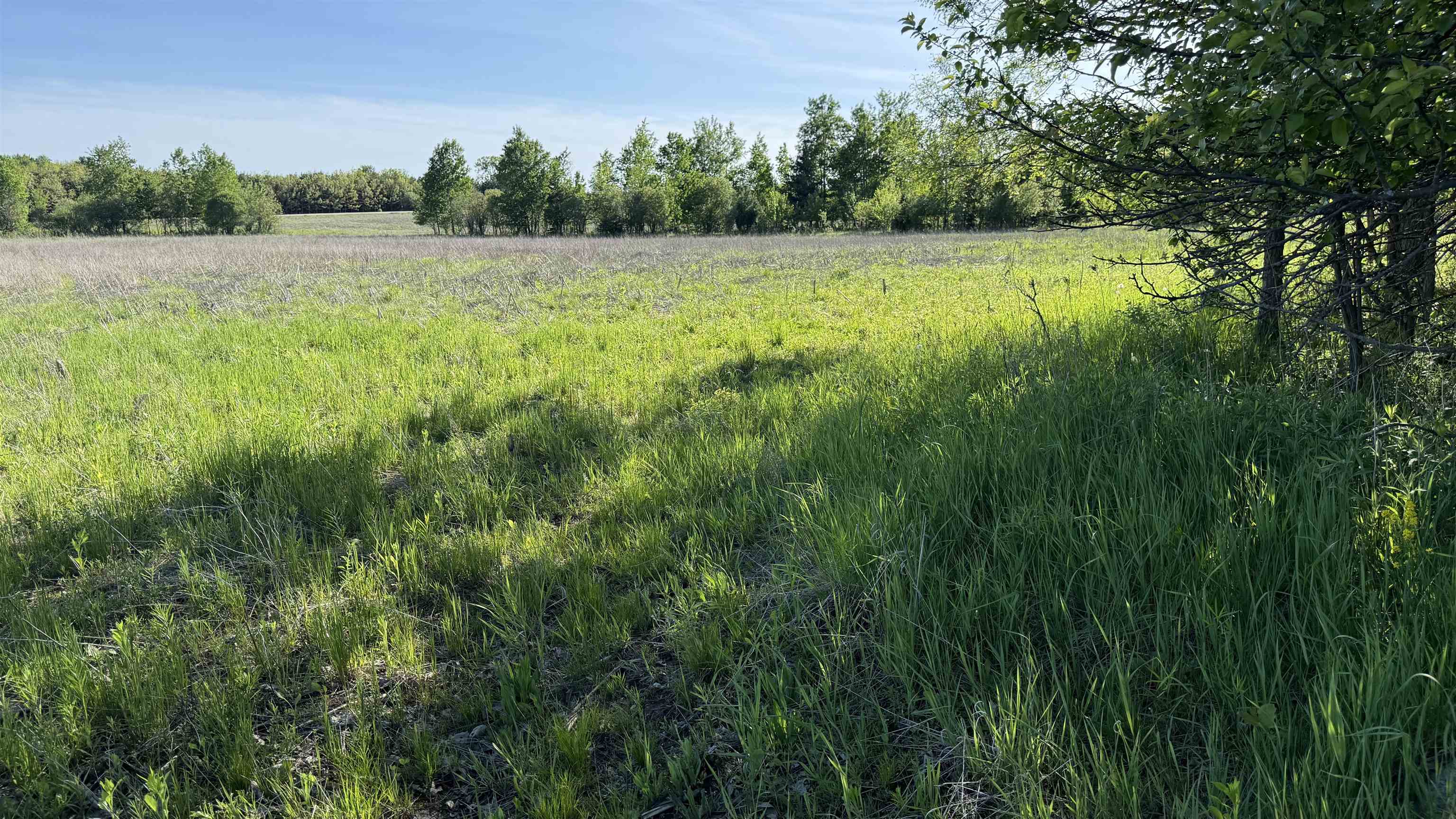 Lot 3 Eau Claire River Road Ringle, WI 54471 - Photo 7 of 28