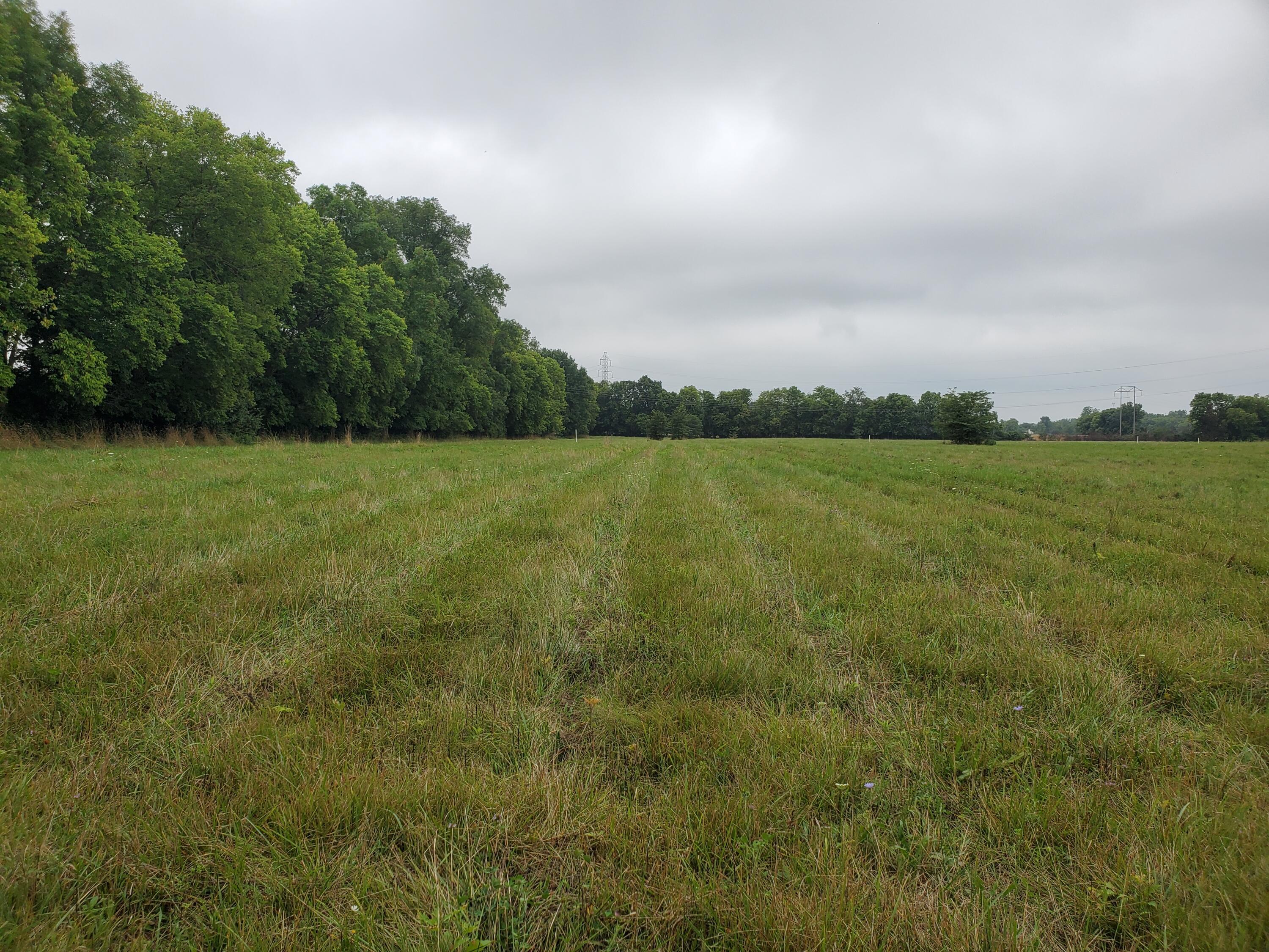 0 Klondike Road, Unit TRACT 9 Delaware, OH 43015 - Photo 3 of 4 Gallery Image 3
