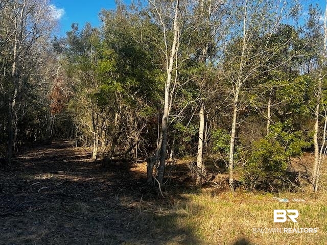 0 Bellingrath Road Theodore, AL 36582 - Photo 3 of 5