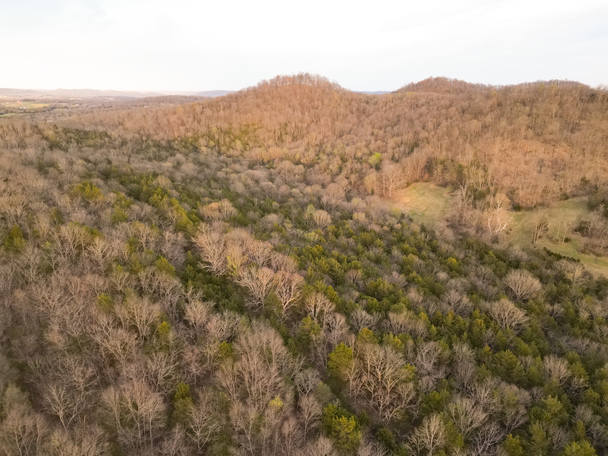 0 Rock Springs Road Watertown, TN 37184 - Photo 25 of 27 Gallery Image 25