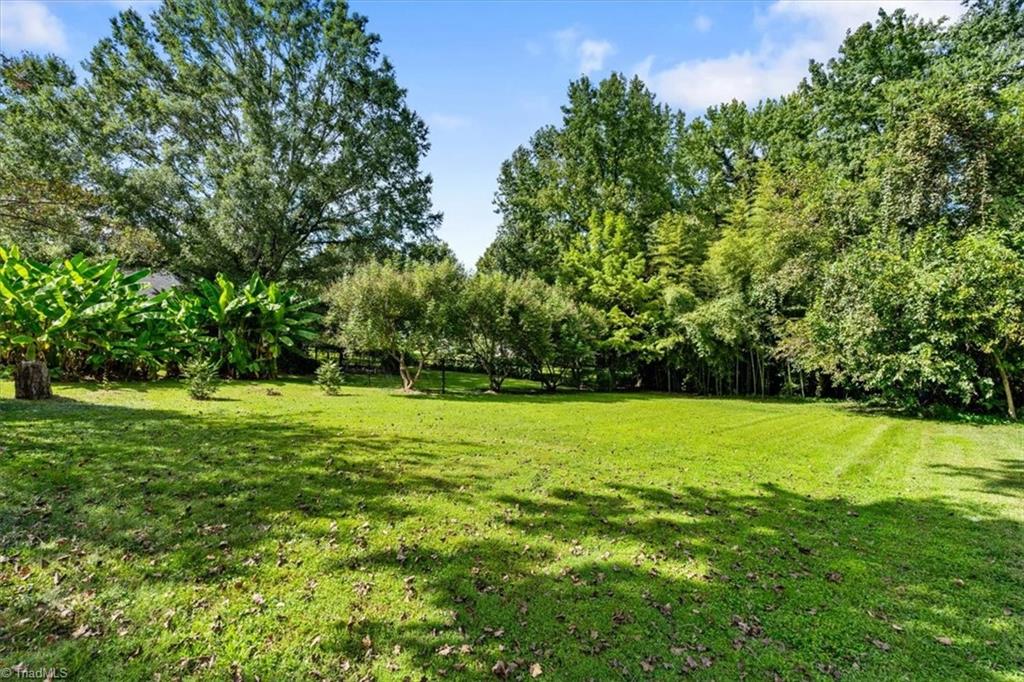 509 Woodrow Avenue High Point, NC 27262 - Photo 33 of 33