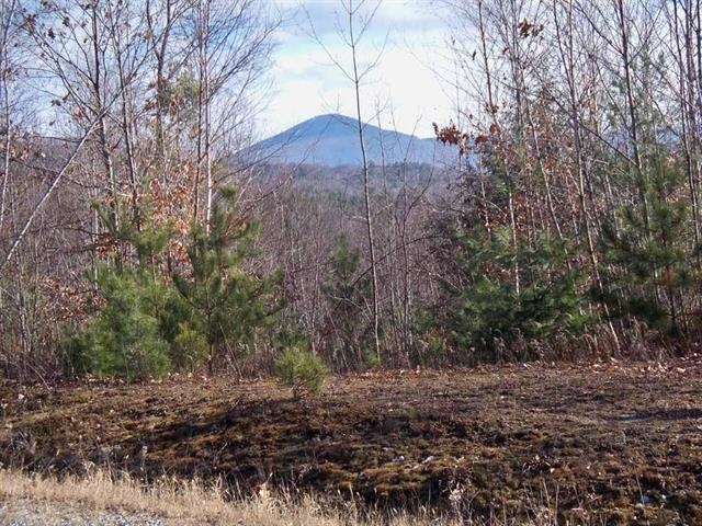 130 Pennock Lane Rutland, VT 05701 - Photo 1 of 1