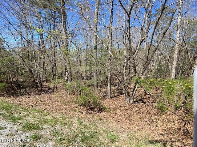0 Mariners Point Crossville, TN 38558 - Photo 2 of 6 a view of a yard with a tree