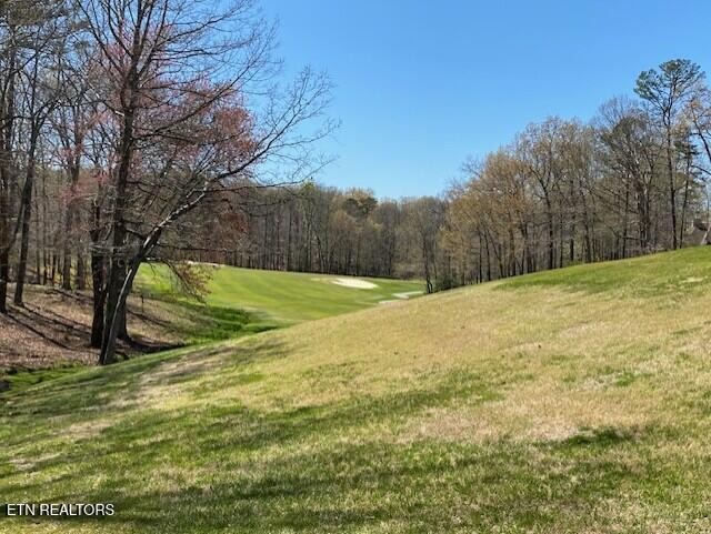 0 Mariners Point Crossville, TN 38558 - Photo 4 of 6 a view of outdoor space with trees all around