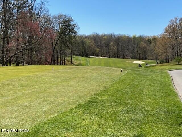 0 Mariners Point Crossville, TN 38558 - Photo 5 of 6 a view of an outdoor space and a yard