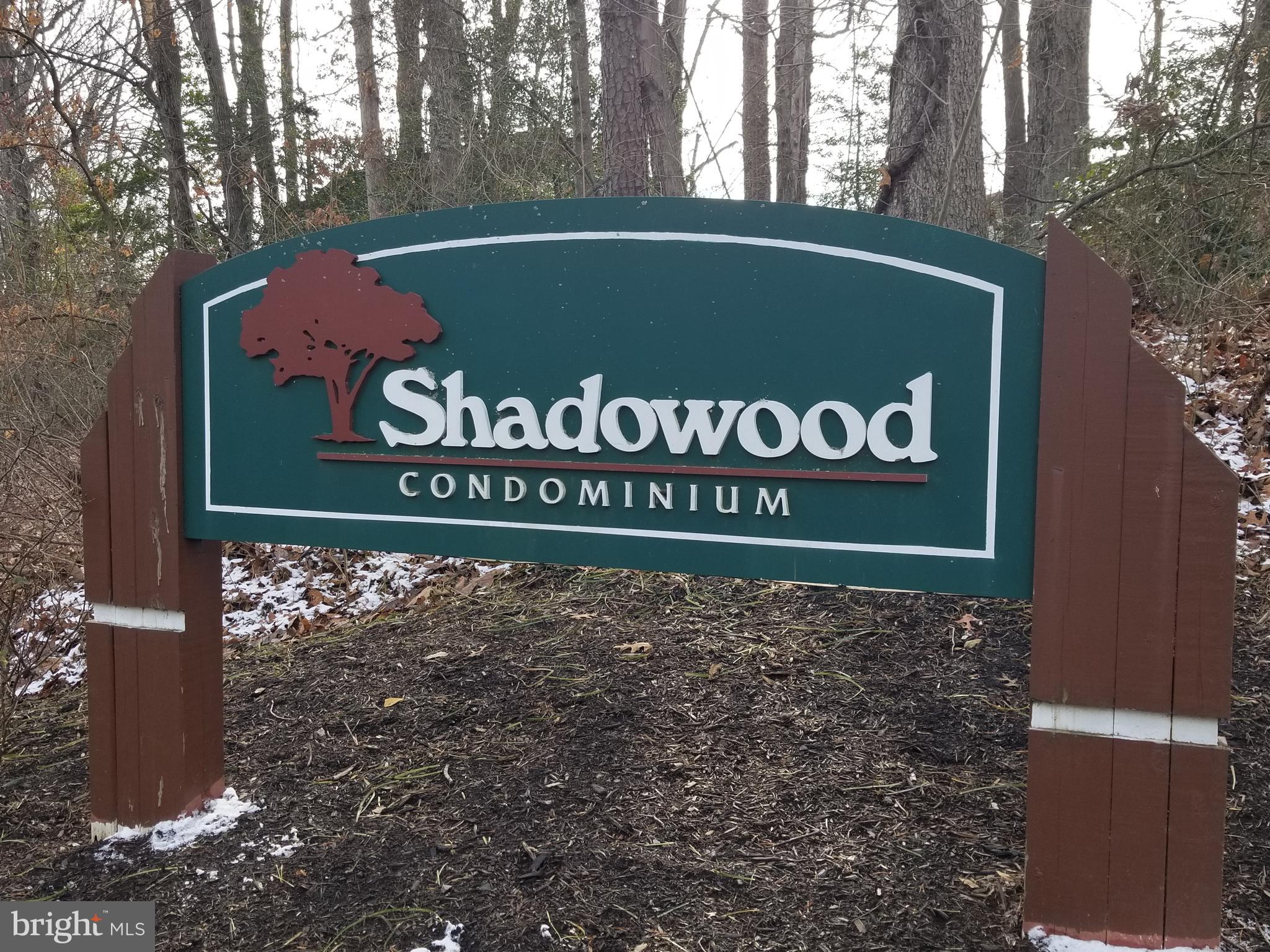 11619 Stoneview Square, Unit 22C Reston, VA 20191 - Photo 3 of 45 The wonderful condo assn. of Shadowood.