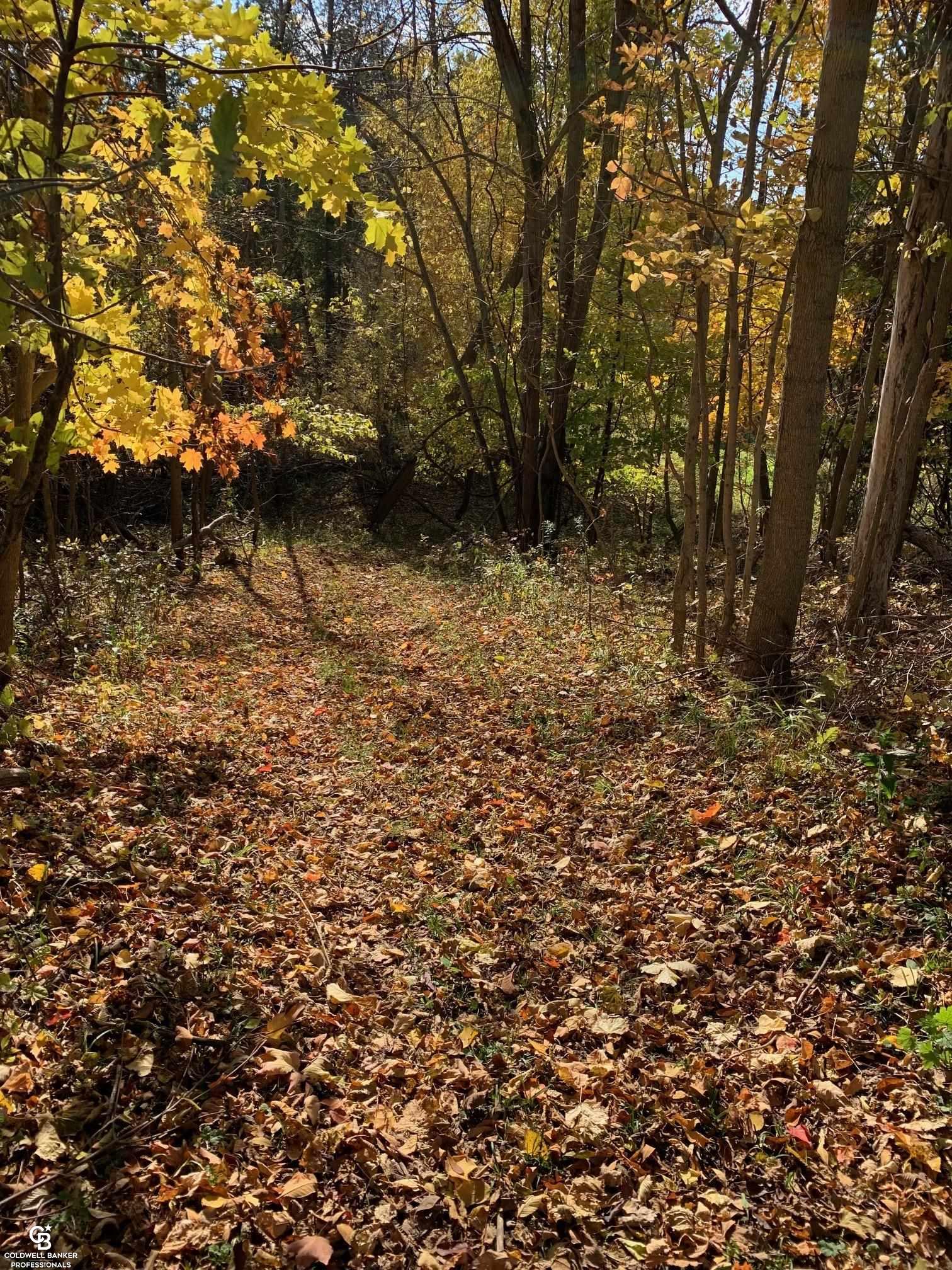 3225 Hartsell Road Owendale, MI 48754 - Photo 66 of 78 Trails in the woods