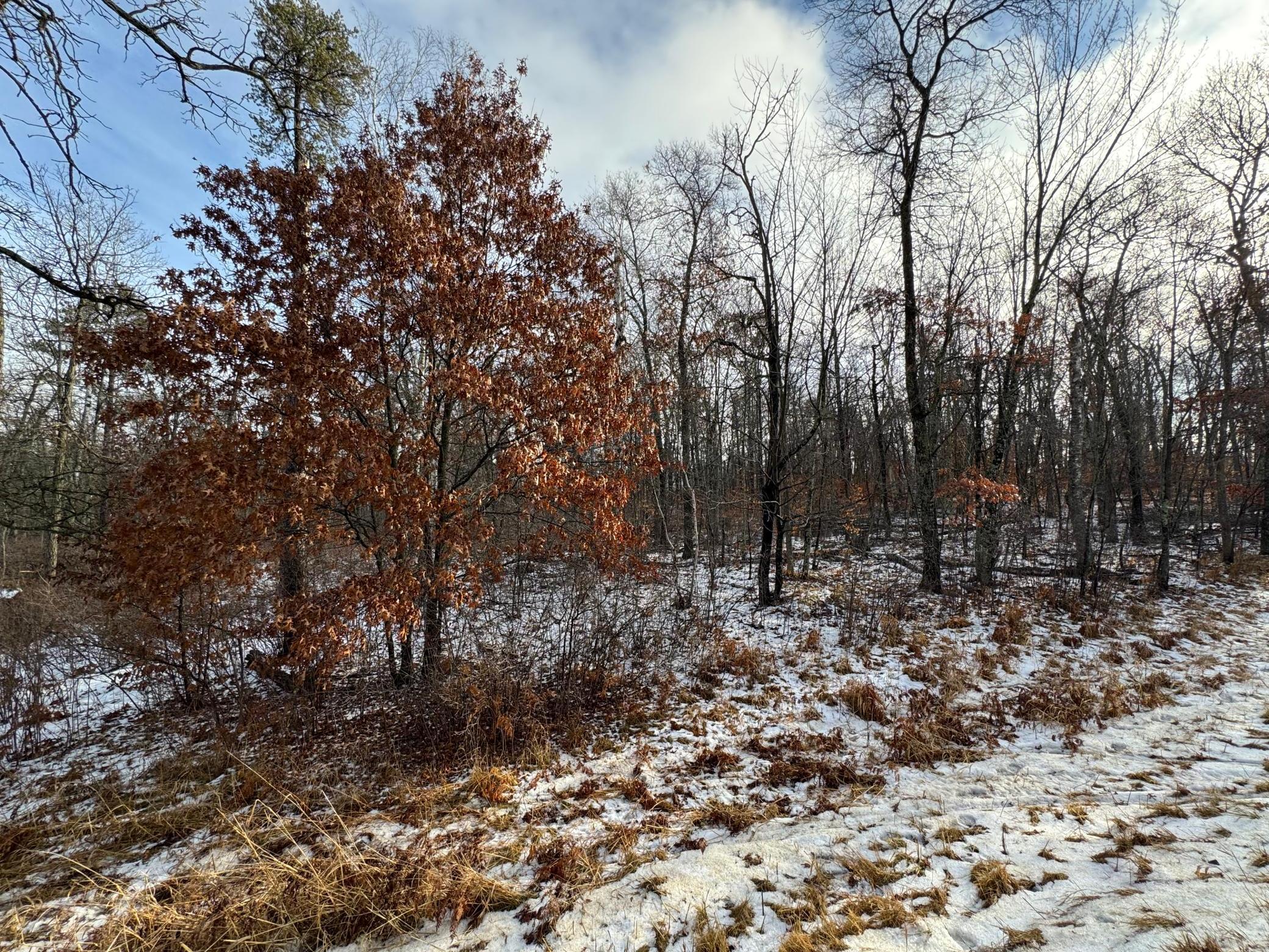 Lot 43 Ranchette Drive Breezy Point, MN 56472 - Photo 1 of 1 Gallery Image 1