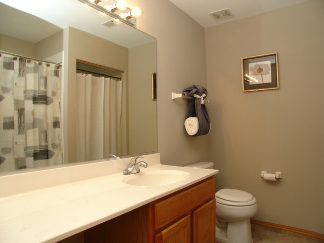 2497 Reflections Drive Aurora, IL 60502 - Photo 19 of 27