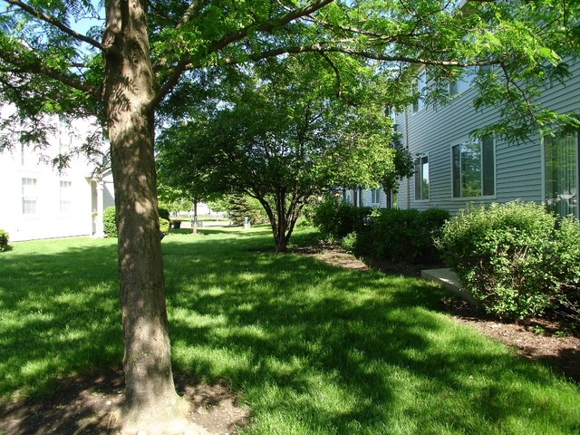 2497 Reflections Drive Aurora, IL 60502 - Photo 4 of 27