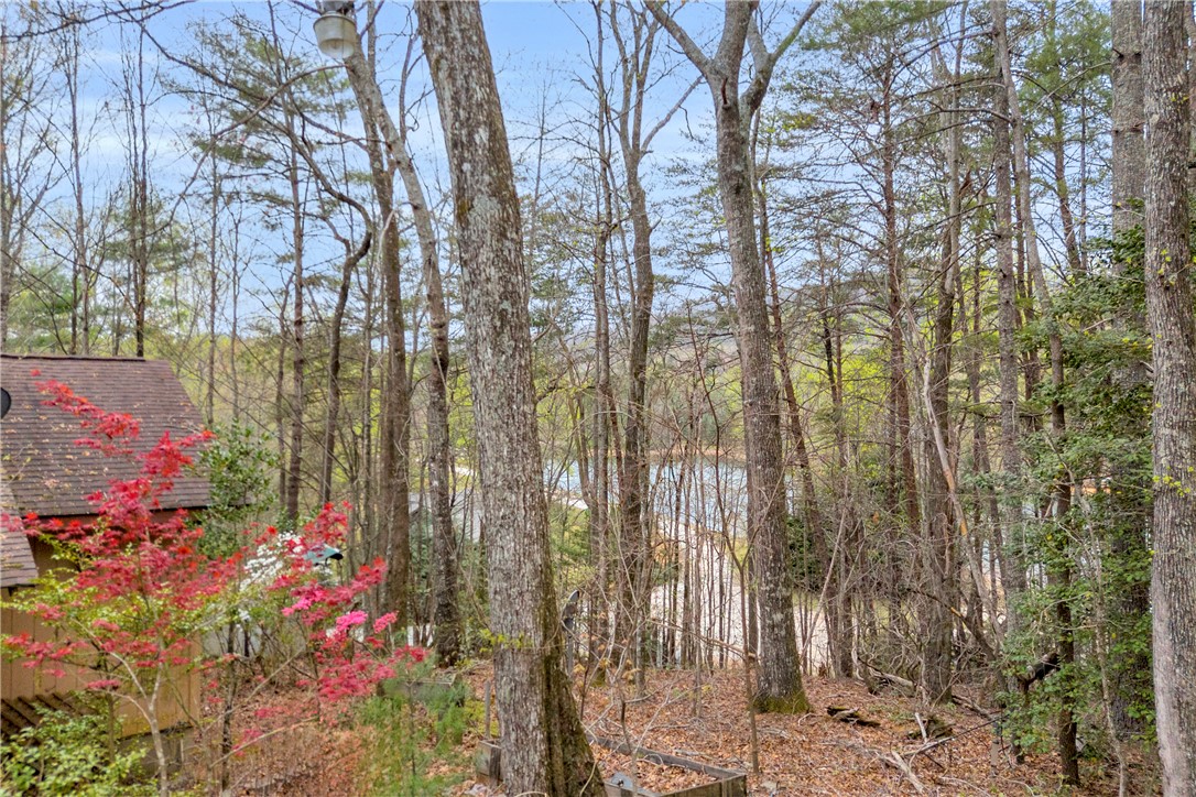 115 Little Stakey Rd Mountain Rest Mountain Rest, SC 29664 - Photo 22 of 38 This scenic landscape offers tranquil lake views through lush, natural surroundings.