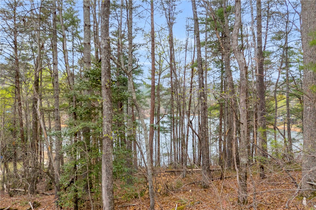 115 Little Stakey Rd Mountain Rest Mountain Rest, SC 29664 - Photo 23 of 38 This tranquil wooded lot offers a peaceful retreat with glimpses of the serene lake.