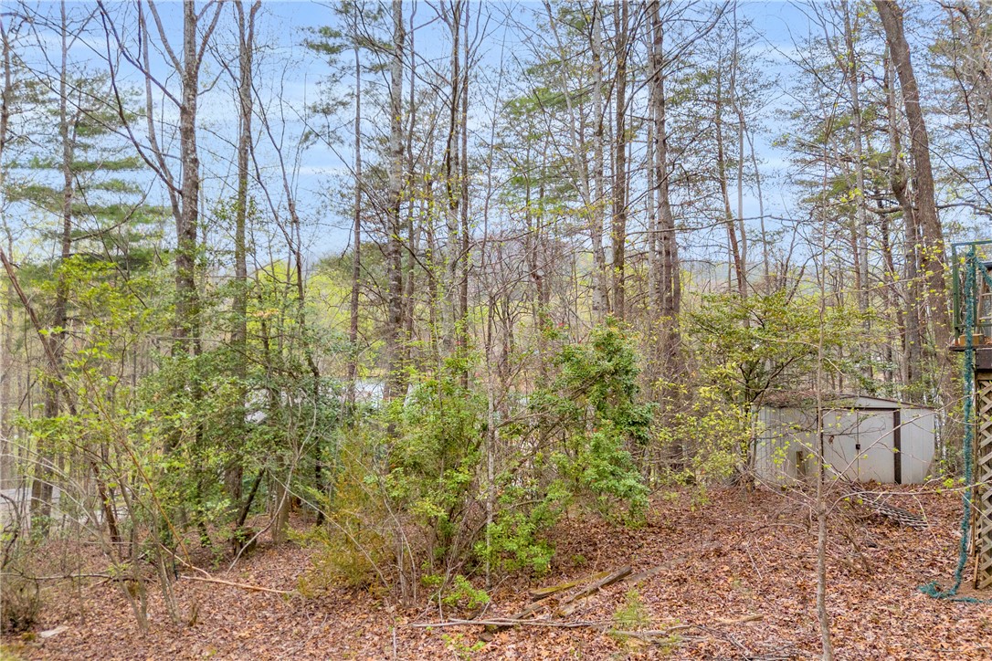 115 Little Stakey Rd Mountain Rest Mountain Rest, SC 29664 - Photo 25 of 38 This tranquil wooded yard provides a serene escape, featuring a practical storage shed.