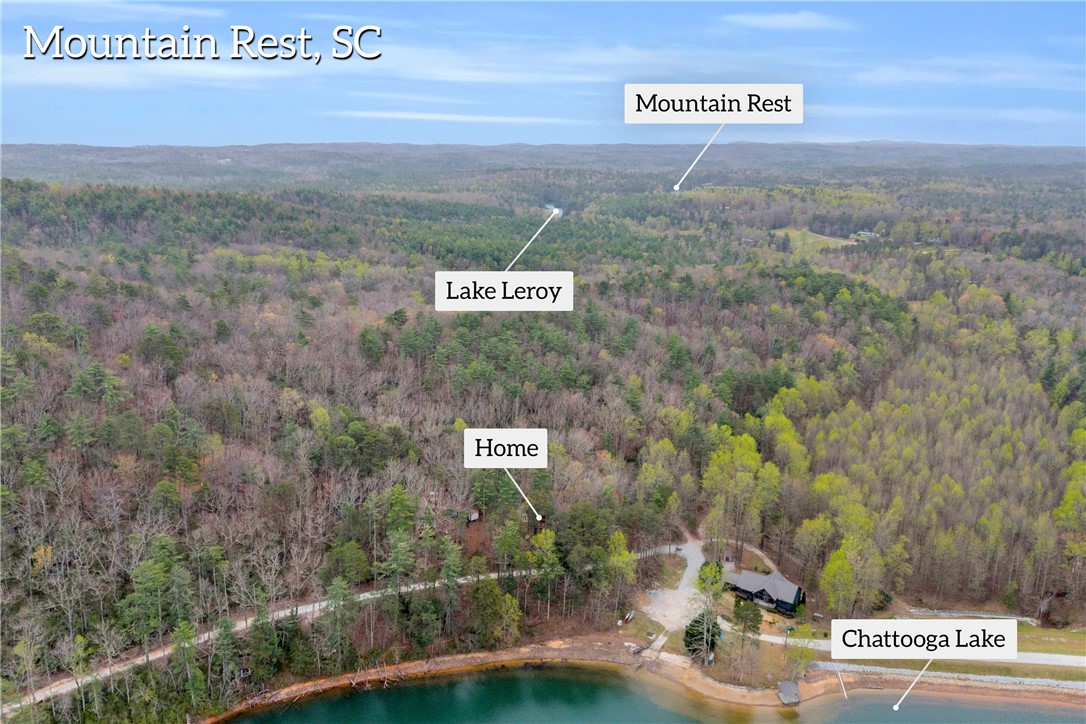 115 Little Stakey Rd Mountain Rest Mountain Rest, SC 29664 - Photo 31 of 38 This expansive aerial view showcases a serene lakefront home nestled amidst a vibrant forest.