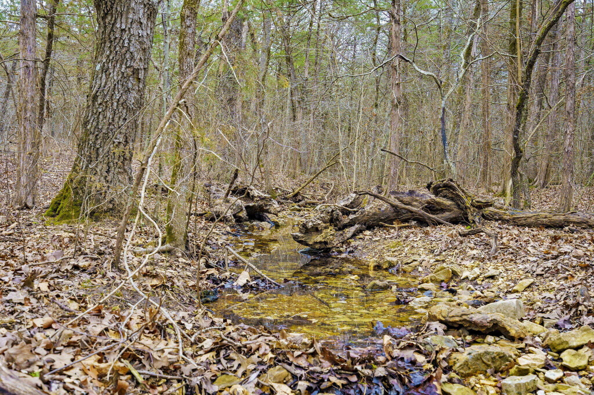 Tbd Alyeska Point Road Lampe, MO 65681 - Photo 2 of 25 TABLE ROCK LAKE CLOSE ACREAGE