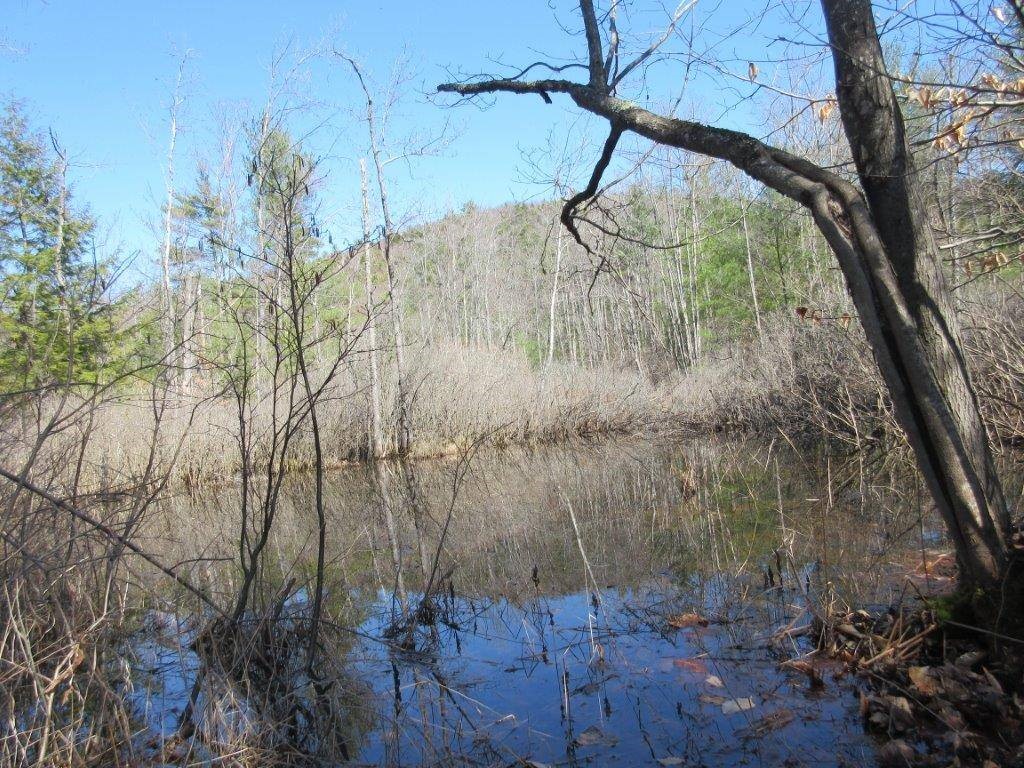 20 Porterfield Road Porter, ME 04068 - Photo 6 of 18