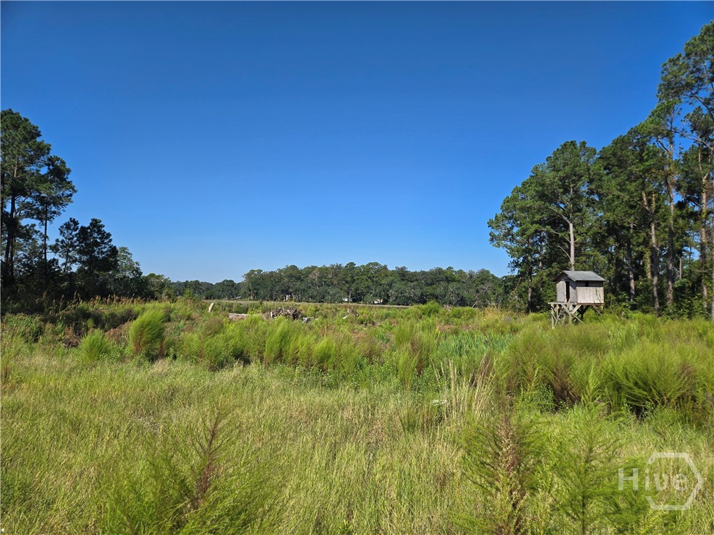 0 River Road Midway, GA 31320 - Photo 1 of 29