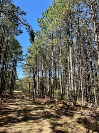 $60,000 | 146 Howard Way, Hohenwald, TN 38462