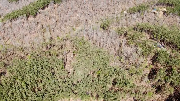 $60,000 | 146 Howard Way, Hohenwald, TN 38462