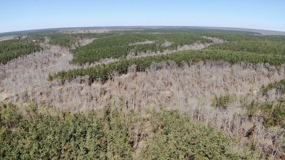 146 Howard Way Hohenwald, TN 38462 - Photo 13 of 14 a view of a lake with houses in the back