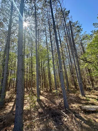 $60,000 | 146 Howard Way, Hohenwald, TN 38462