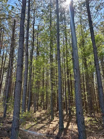 $60,000 | 146 Howard Way, Hohenwald, TN 38462