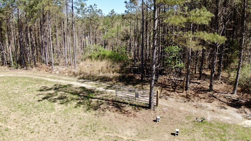 146 Howard Way Hohenwald, TN 38462 - Photo 8 of 14 a view of a yard with trees